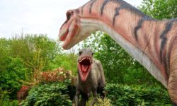 Las garrapatas son más antiguas que los dinosaurios